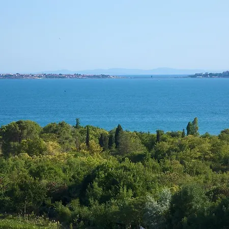 Family Yalta влас