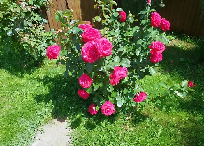 Family Yalta влас Resort